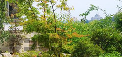 姫路城を望むウッドデッキと池を楽しむ庭