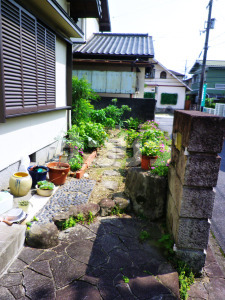 ƻϩ̤ĹϩΥե೰