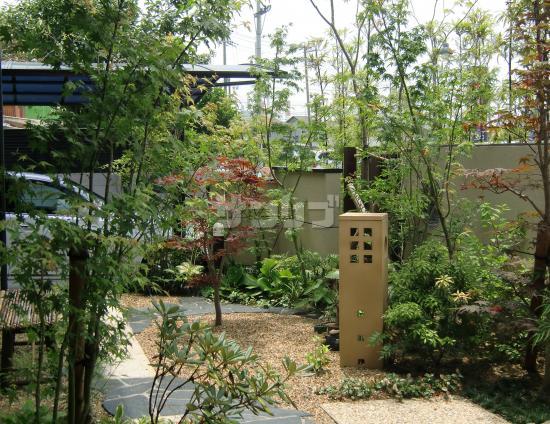 施工例 モダン和風に合う自然風モミジの庭工事 兵庫県加古川市