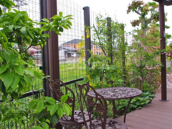 12 Gardenstory 